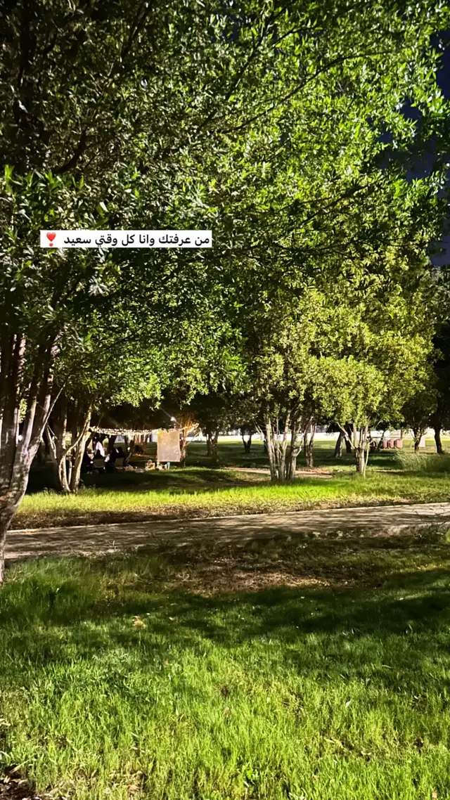 #اكسبلورexplore #تيك #توك #fypシ 