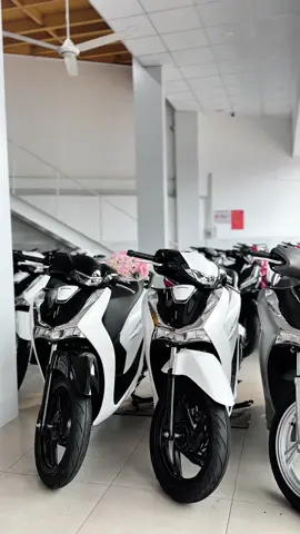 Sh 125 sh 160 2025 quá ưng. 