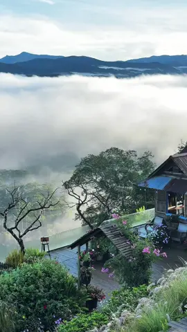 Săn mây Cầu Đất 12/10/2025 #tourdalat #sanmaydalat #dalat #thoitietdalat #vitamindalat 