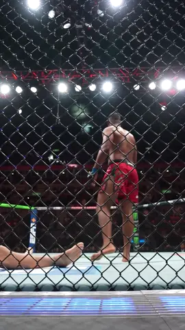 Heavyweights better keep their eyes on Mario Pinto 🇵🇹 #UFC #mma #mariopinto