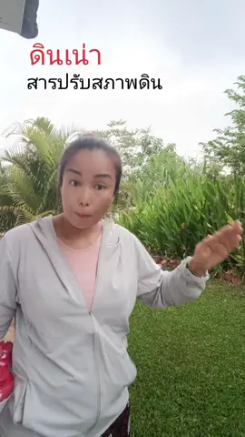 ดินเน่า#ดินเน่า#ดินเน่ากู้ดิน #สารปรับปรุงดิน #เกษตรกร #แก้วจ๋า_พารีวิว 
