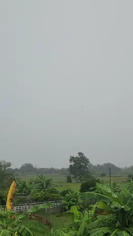 #สวัสดีเช้าวันอาทิตย์อันแสนสดใส 