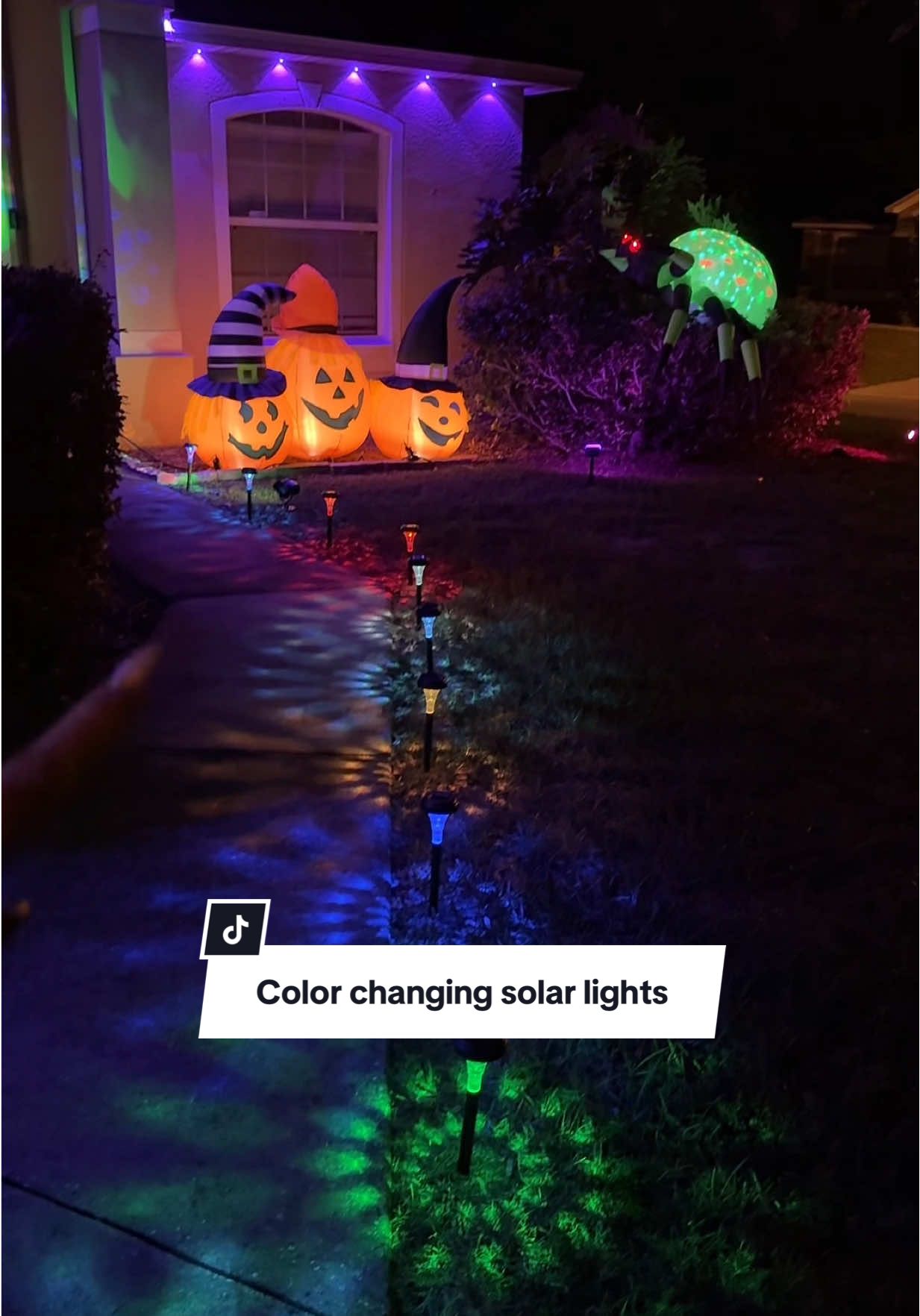These have to be the coolest, solar power color changing path lights I have ever found! ##halloweendecor#c#christmasdecoro#outdoorlightingli#lightsi#tiktokshopcreatorpicks