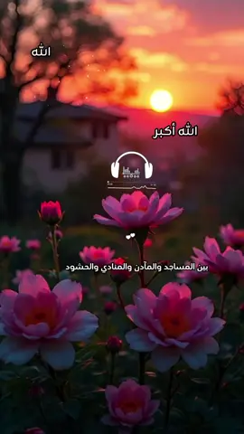 #CapCut بين المساجد والمآدن