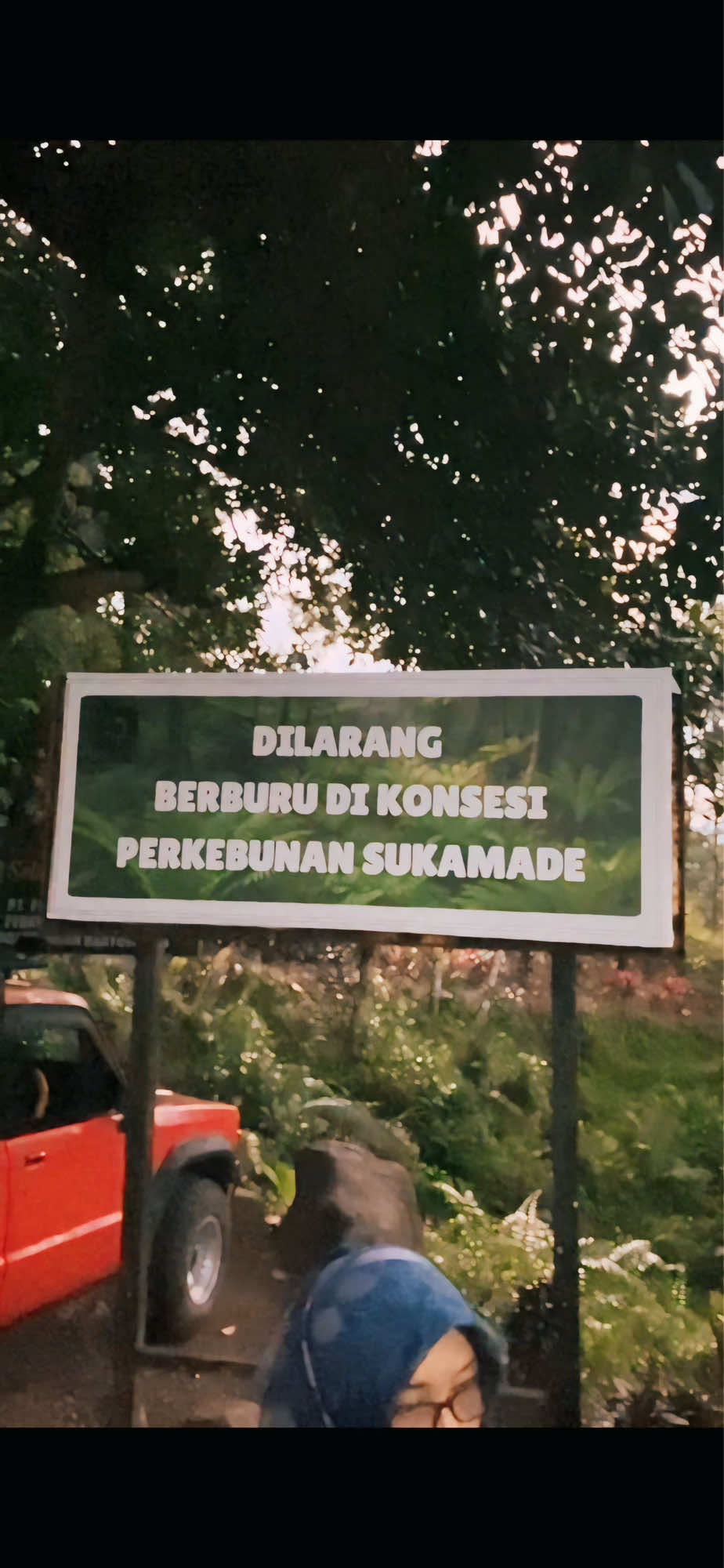 Naik jeep = offroad gratis 🤯 Lewat hutan & jalan super parah 🌳🔥 Bonus: lihat penyu raksasa bertelur 🐢✨ Worth it banget sih! 🙌 #SukamadeTrip #OffroadVibes #JeepAdventure #ExploreBanyuwangi #Fyp 