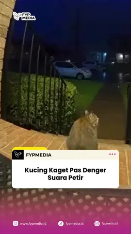 Refleks langsung diem dan melotot 😭 Padahal tadi santai banget loh sebelum petir nyambar ⚡🐱 #fyp #kucinglucu #petir #fypindo FYPMedia #ViralIndonesia 