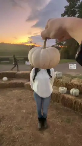 finally did a trend on time #pumpkinseason #pumpkinpatch #bf #fall 