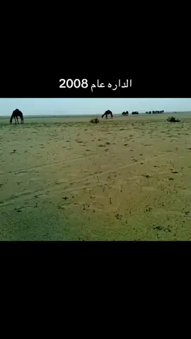 #نجران_الجنوب_اكسبلور🏃‍♀️ 