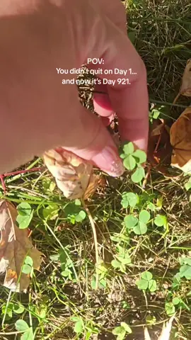 921 days in and the streak isn’t stopping. #dailycloverhunt #fourleafclover #everyday #nature #documentary 