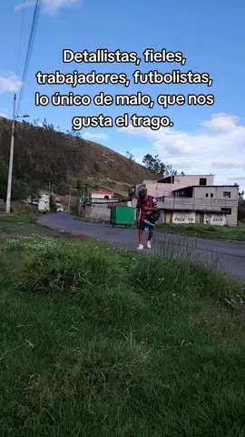 Volar no puedo  🙂