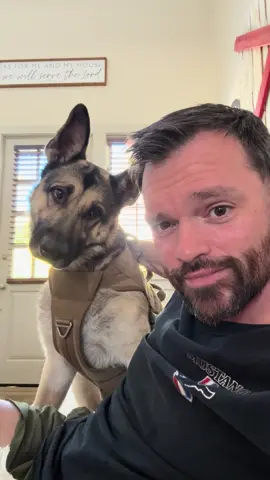 #spartanliddie #singledogdad #alabama #Saturday