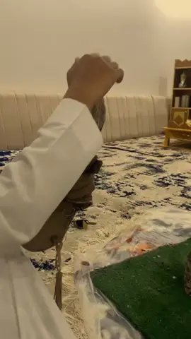 ماشاءالله 🤩✨#لايك #فولو #اكسبلور #حفرنا #مالي_خلق_احط_هاشتاقات🧢 