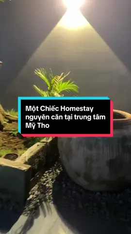 Vừa xinh, vừa riêng tư — homestay nguyên căn mới tại trung tâm Mỹ Tho 💫 Check-in là mê, ở là nghiện 🏡 #homestaymytho #homestaymoi #travelvietnam