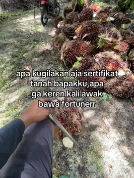 apa ga cocok kali?🤣#sawitriau #xyzbca #sawittiktok🌴 
