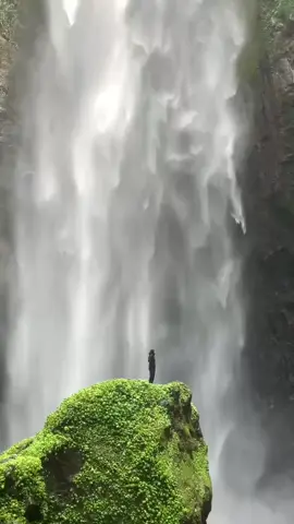 Falling for the falls #fyp #fyppppppppppppppppppppppp #kabutpelangiwaterfall #lumajang #airterjun 