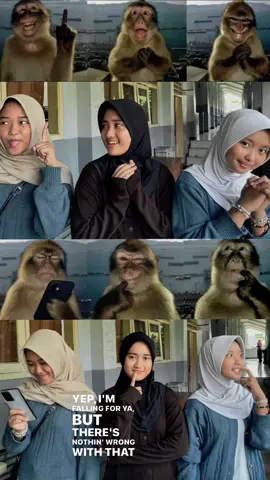 🤠#monkeys #meme #trend #fyp #bff 