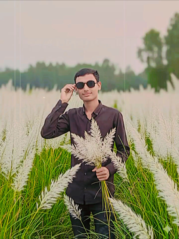 #কাশফুল আছে কিন্তু কাশফুল দেওয়ার মতো কোনো মানুষ নেই #foryoupage #tending #1000kviews1000klikes #foryoupageofficial 