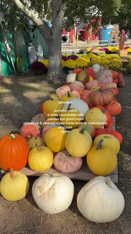 a perfect little fall saturday #cleveland #estatesale #applepicking #diml 
