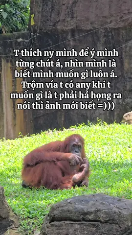 Nhã vía cho chị em đều có anh bồ như v nè #xuhuong #xh 