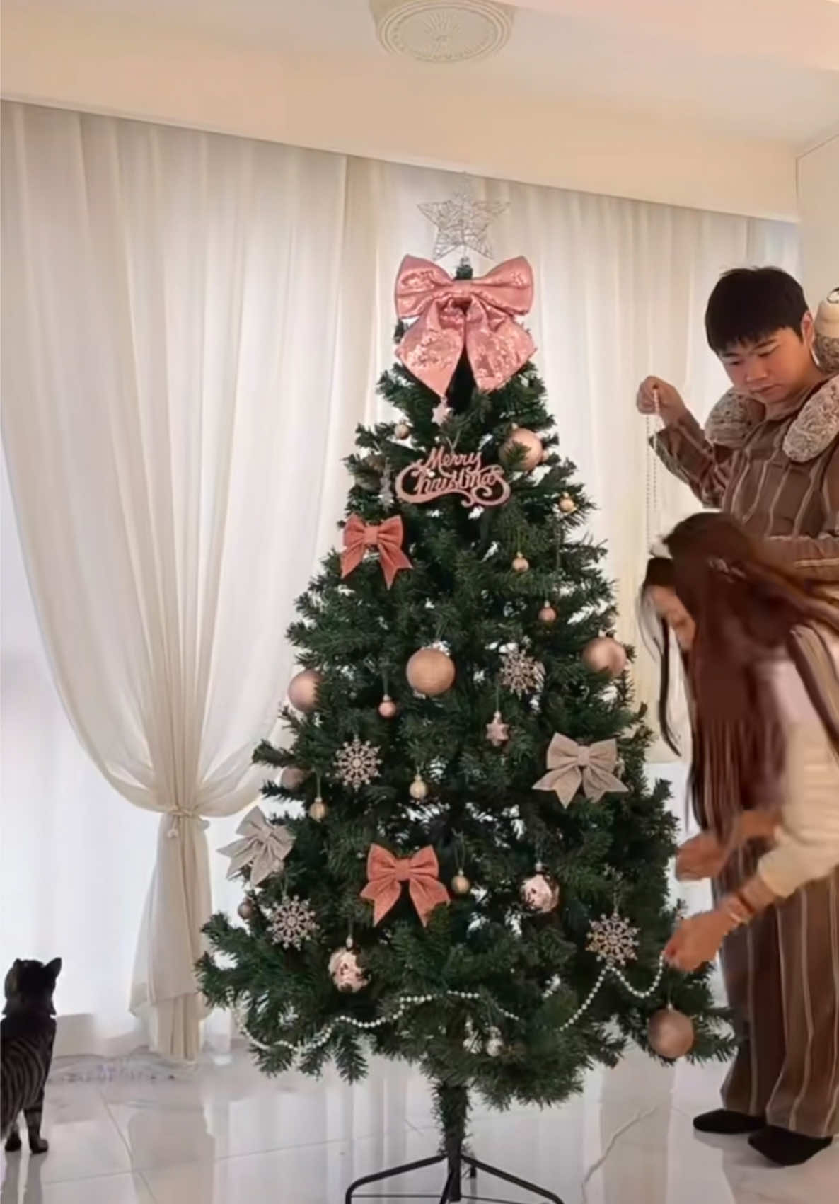 (  Mẫu 2025 ) Cây thông noel đầy đủ kích thước, full phụ kiện trang trí cao cấp #merrychristmas #caythongnoel #xuhuong 