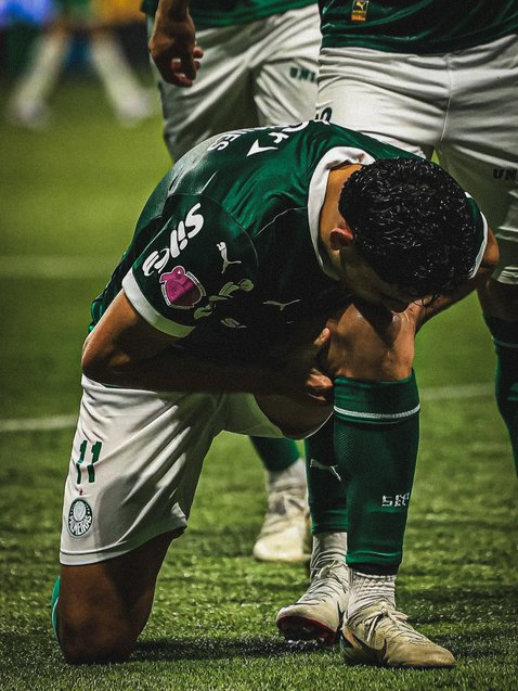 gol de superação do bruno rodrigues. #palmeiras #fyp #xbcyza #brunorodrigues