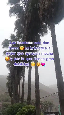 confirmen 😌 #LIVEIncentiveProgram #LIVEwithlowfollowers #PaidPartnership  #teamchoclito🌽🌽  #cañita 