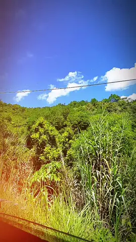 Lord, we lift our beloved Philippines into Your hands.  #prayer #hope   #tfeshula 