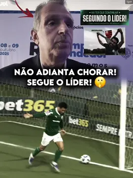 Não adianta tentar derrubar o maior time do Brasil, vocês não irão conseguir! #palmeiras #brasileirao #líder #futebolbrasileiro 