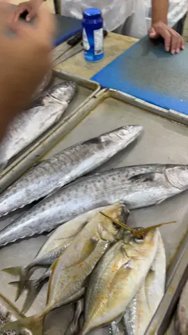 اليوم في سوق السمك 🐟🐟. #اكسبلورexplore#الشعب_الصيني_ماله_حل#مالي_خلق_احط_هاشتاقات 