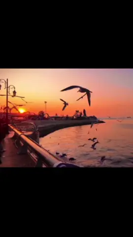 គឺខ្ញុំខឹងខ្លួនឯង.. #fyp #foryou #foryoupage 