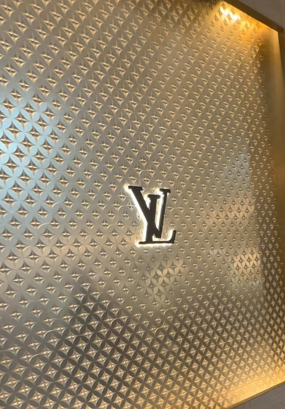 Come with me to Louis Vuitton. #louisvuitton #lv #luxury #designer #likeandfollowforyoupage 