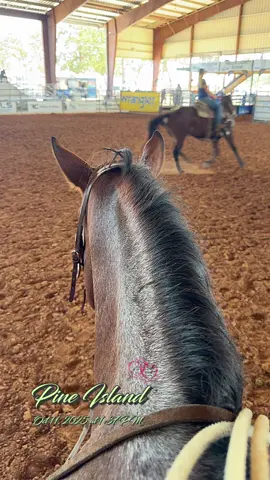 3 rd high call back in the 9.5 today . funny what the 