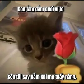 🥀🥀🥀🥀🥀🥀🥀🥀🥀#music #xuhuong #Kuan #fby #zakfielwyz 