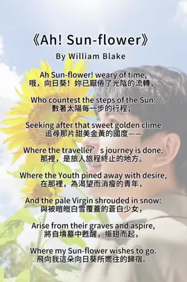 #yumenglong于朦胧🍃🥀 #justicefomemeng🕊️🇨🇳 #ripchineseaktortampan🇨🇳 #fypシ゚viral🖤tiktokvideo #promomakan1010 