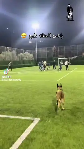 الكلب اللي دخل# الملعب و جري ورا# العيال#