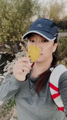 जीवन जीउन जाने यसै सुन्दर छ…।।।।। 🙏🏼🙏🏼🙏🏼 #dearजीन्दगी #तिम्रिसरु #बिराएकोमाया #noneofyourconcern 