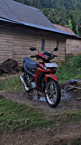 full standar 🤧#z1belopa #z1palopo #z1padangsappa #z1luwutimur #z1toraja 