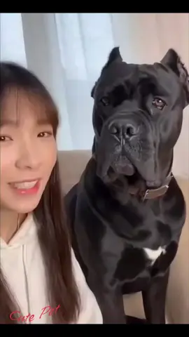 Cute Pet #TikTokAwardsVN #foryou 
