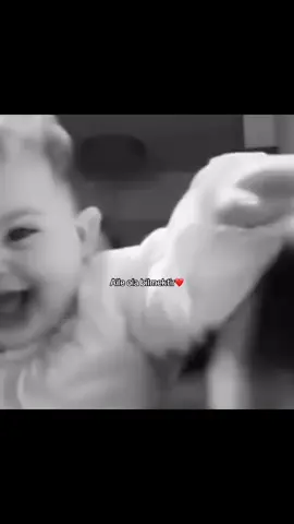 Bəli❤️#daisy061 #keşfetibul 