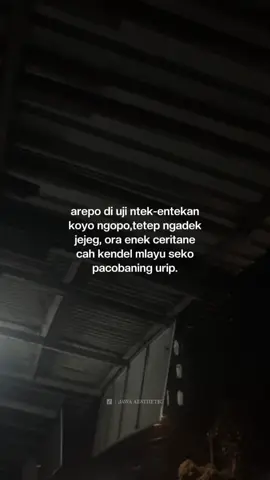 kene cah kendel og #katakatajawa #jowopride 