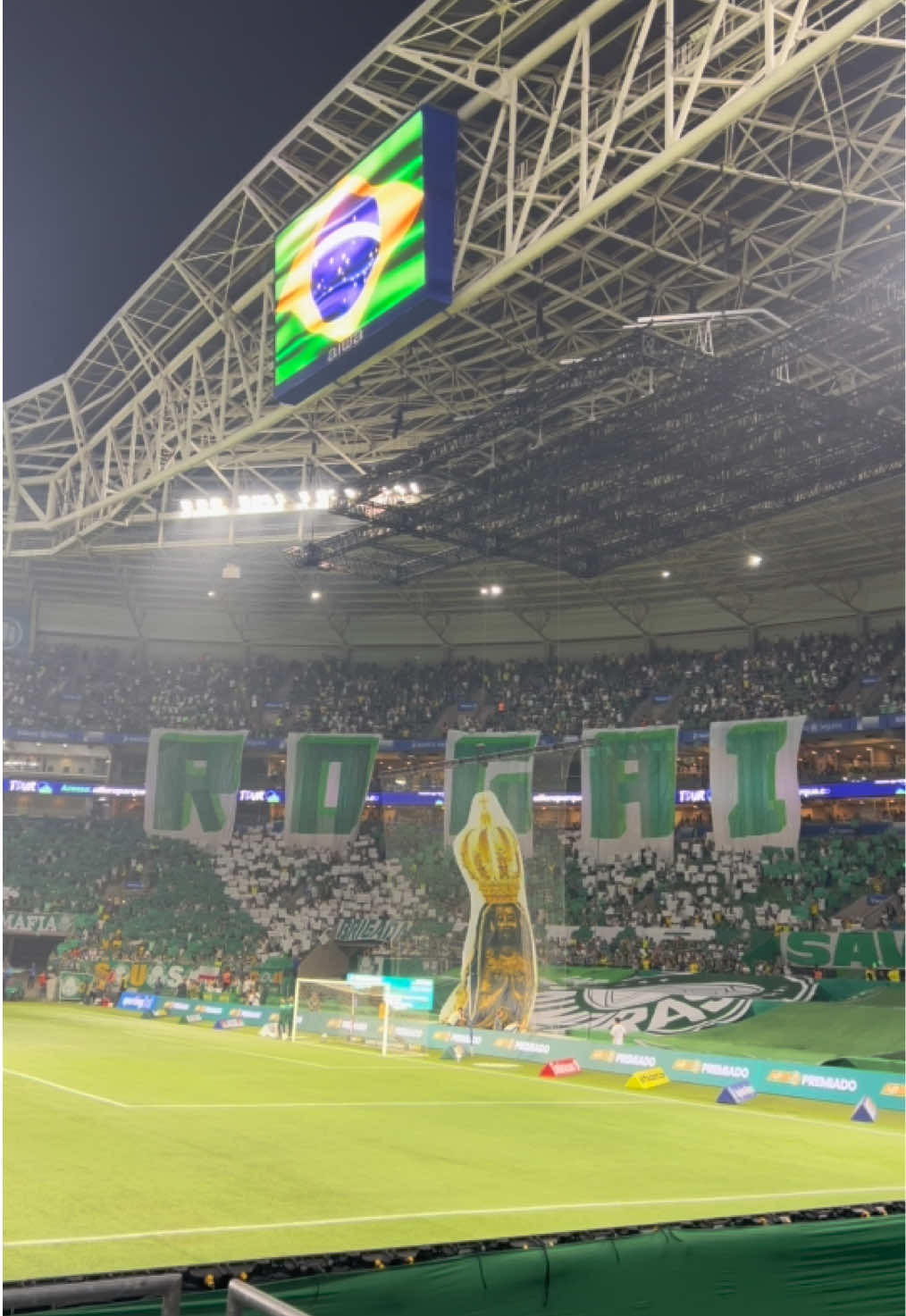 Meu palmeiras 💚🐷 #viral #fyp #palmeiras 