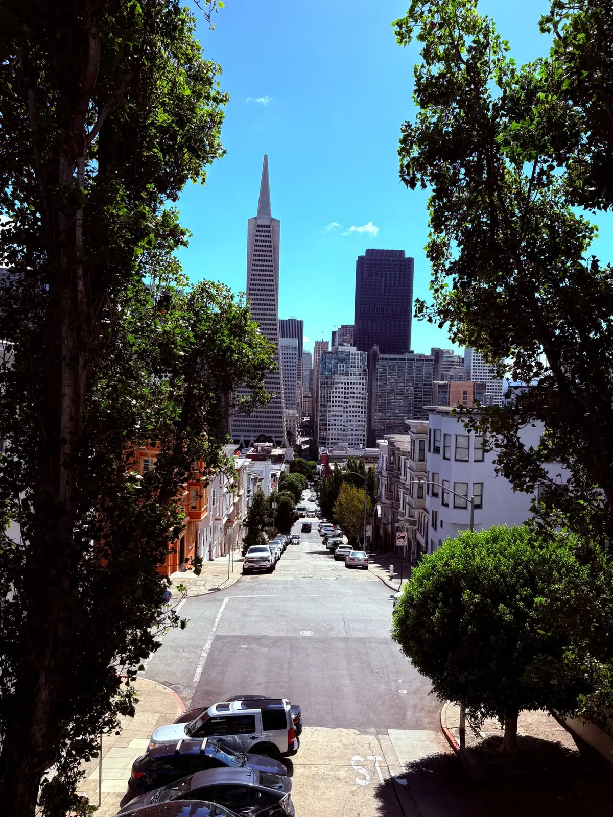 #fyp #tiktok #fypシ #bayarea #sf 