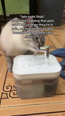 Better to prevent kasi I want my baby to live the longest and happiest life 🥹 #PetsOfTikTok #catsoftiktok 