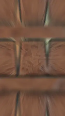 #trickortreat #brownies #halloween2025 #HalloweenTreats #halloween 