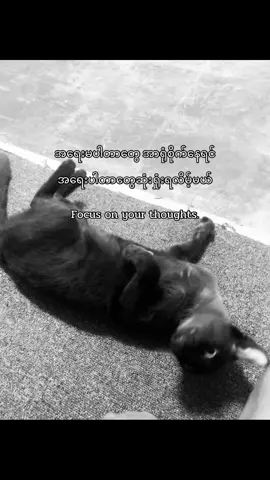 #foryoupage #foryou #fyp #စာတို 