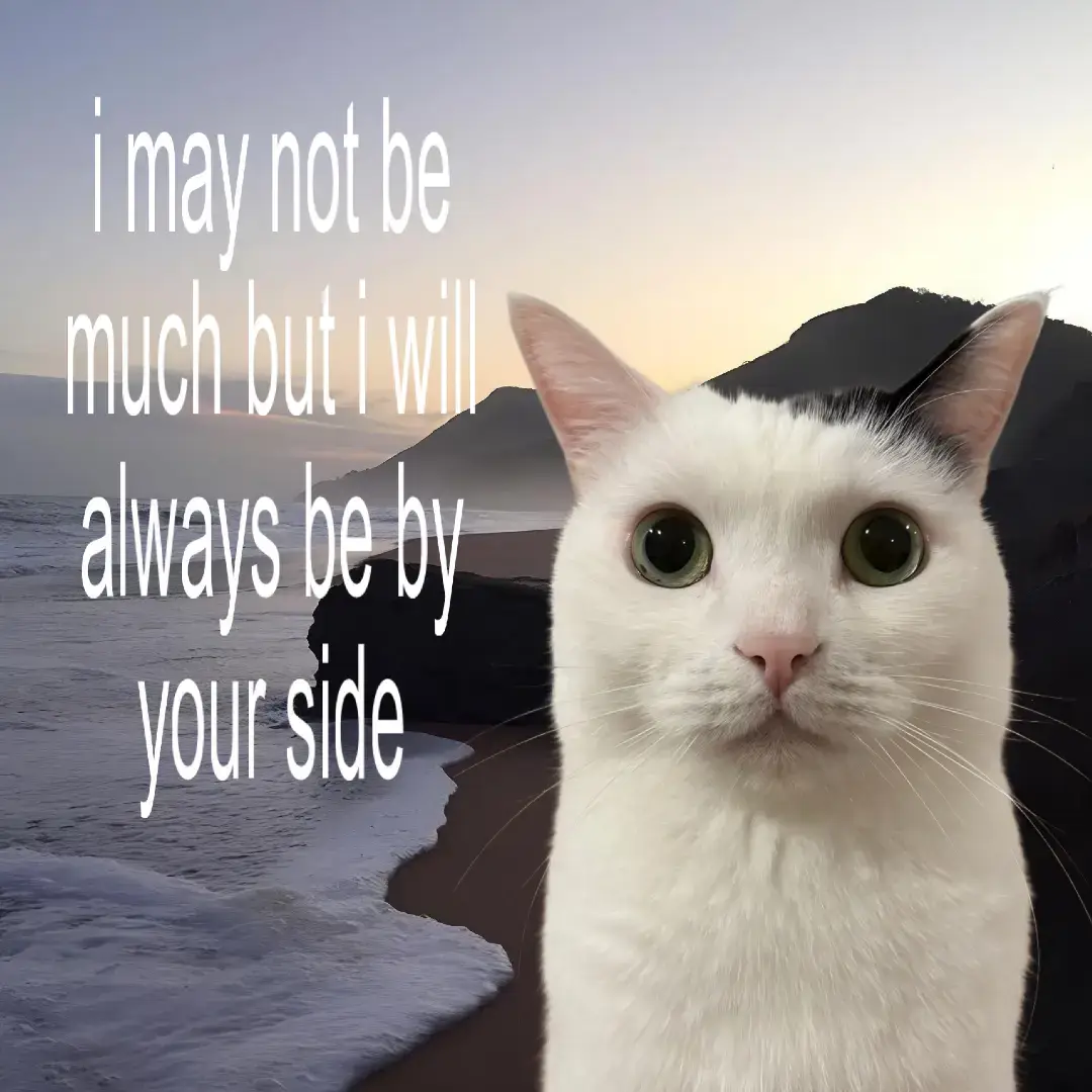 #relatable #relatablecontent #lovecore #streak #slideshow 