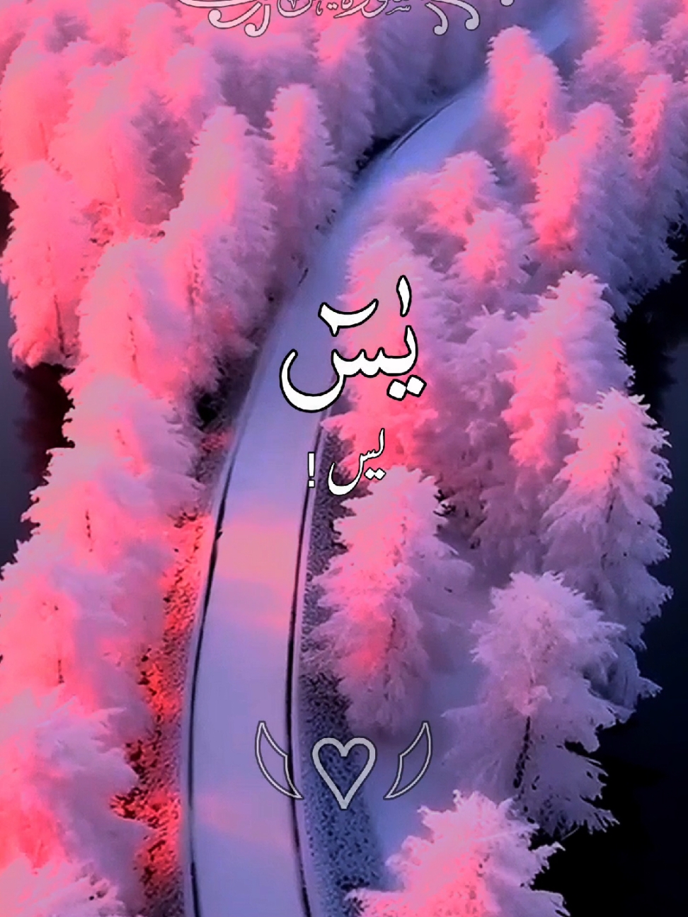 #القرآن_الکریم #القرآن_الكريم_راحه_سمعك_القرآن💙💖💙💙💙💙 #ارح_سمعك_بالقران🎧♥️ #quran #grow #growmyacount #fyb #foruoypage___ @TikTok @tiktok creators @TikTok UK 