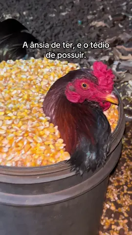 #reflexão #humor #viral #fyp 