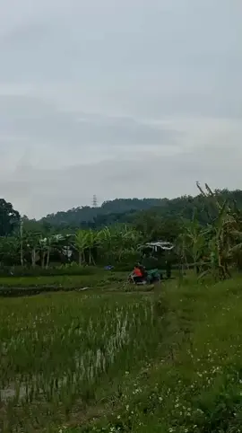 😭😭#fyppppppppppppppppppppppp 