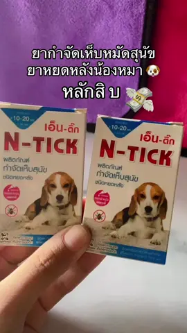 พิกัด ในตะกร้า  🐶🐶 #ยากําจัดเห็บและหมัด  #เห็บหมัด #ทาสหมา  